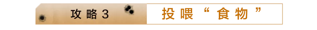 大乐透期号,专家质合推,前区十码解,乐鱼足球,足球赛事资讯,足球比赛赛程,足球赛事动态,足球赛事平台