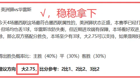 名记点评：火箭队季后赛形象存疑，进攻组织能力不足